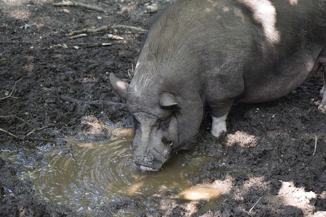 霆的强势表 霆的强势表