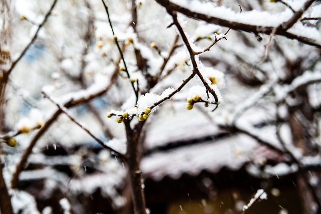 在今年的